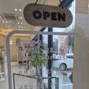 낭만고양이병원 이미지