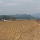 시너리 이미지