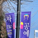 서울차유리 | 2025 서울 차 공예 박람회 관람 후기 부스 소개