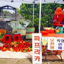 협동조합모두락 이미지