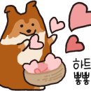 아웅다웅애견펜션 이미지