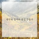 척추가 중심 이미지