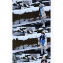 슬로우캠프 | 삿포로 베이스캠프 비에이투어 후기 (준페이 포함, 소규모 투어, 인생샷 꿀팁)