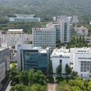 에스디 네일 이미지