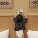 智(지)安(안) 헤어 | 아기랑 후쿠오카 호텔 '9 HOTEL HAKATA' 프리미엄 포스룸 솔직 후기(후쿠오카 다다미방, 나인호텔하카타)