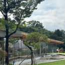 수인로 | 안산 대형카페 [워크안산] 갤러리 감성카페 추천, 숲속 바베큐장 BBQ 글램핑 내돈내산 후기