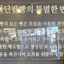 사하단팥빵