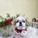 블링블링펫 이미지