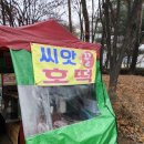 개나리공원 건너편 이미지