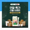 아이비1228