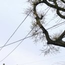 머물다항리 이미지