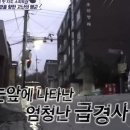 응봉산 팔각정 이미지