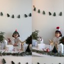 시니스냅 이미지