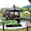 영농조합법인 덕곡발전위원회 이미지