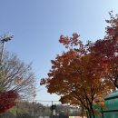 경희부동산중개 | 청량리7구역 롯데캐슬 하이루체 걸어서 임장 후기(입주권 전매, 프리미엄 시세)