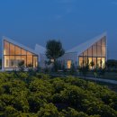 국화농장 이미지