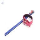 조은애견 이미지