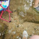 장구밭식당 이미지