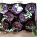 김미희농장 이미지