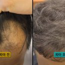 나나랜드헤어 이미지