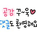 신여사네 이미지