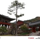 화엄사 | 전라남도 구례군 화엄사 방문 후기