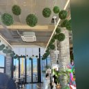 장천1길 | 속초 브런치 심플레이스 내돈내산 솔직후기