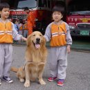 아이마루어린이집 이미지