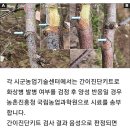 과수 화상병 예방을 위한 가지치기할 때 농업인 준수사항 이미지