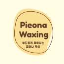 피어나뷰티&왁싱 티스토리