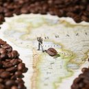 용한한의원 이미지