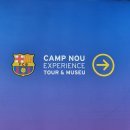 스페인 바르셀로나 - 축구 팬이라면 꼭 가야 할 캄프누 투어 후기
