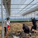 군산시농업기술센터 이미지