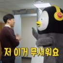 딸부자집 펜션 네이버블로그