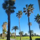 삼달신풍로 | 부모님과 10개월 아기가 함께한 제주 내돈내산 효도여행 2일차