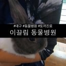 이끌림동물병원 이미지