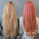 로즈미용실 | 어반트랜드 노원역 미용실에서 로즈핑크 염색한 후기
