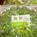 만천할인마트 | 코스트코 봄동 농심포테토칩 누텔라잼 카스무알콜 천국의 계단 가정용 운동기구 할인 상품 신상품 추천