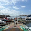 해광 | 가을 해광유선 인천 쭈꾸미 낚시 후기 (주차,에기)