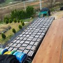 월출산 약초농산 이미지