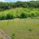 영창 행정사 이미지