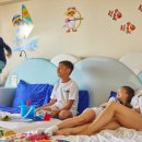 무궁화소프트.com 이미지