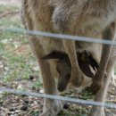 동부농장 이미지