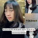 마곡나루역 제오헤어 현정 디자이너 레이어드 C컬펌 만족 후기 마곡나루역미용실 추천