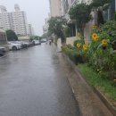 방배로32길 21 | [21년 상반기] 한국건설생활환경시험 연구원(KCL)1차 면접 후기