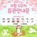 어스플레잉 수영 이미지