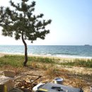 씨유 대천항점 | 태안 오션뷰 캠핑장 &#39;해씨유 캠핑장&#39; 재방문 후기⛺️