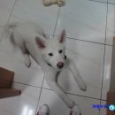 마린파크 동물병원 이미지