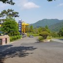 연화산약국 Daum카페