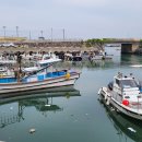 애월한담해안산책로 이미지